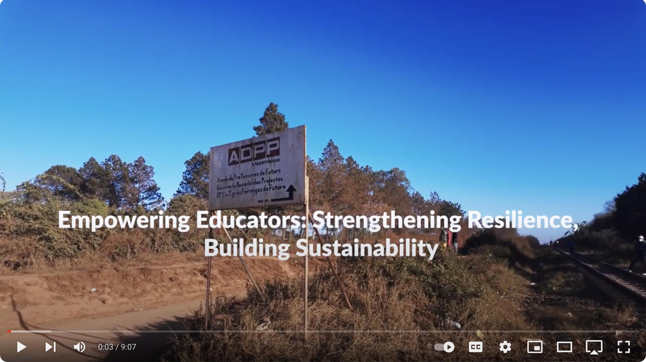 Formação de Professores: Reforçar a Resiliência e Construir a Sustentabilidade